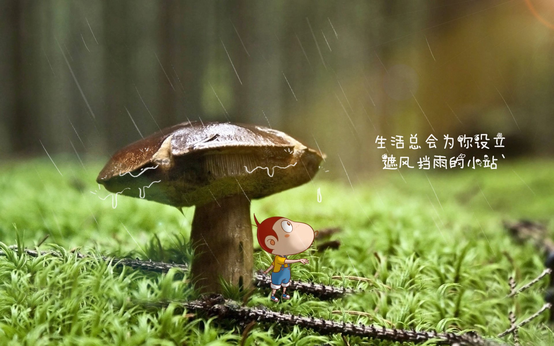 数字化青训“智慧平台”成为行业标配，提升青训国际竞争力，数字青少年宫首页