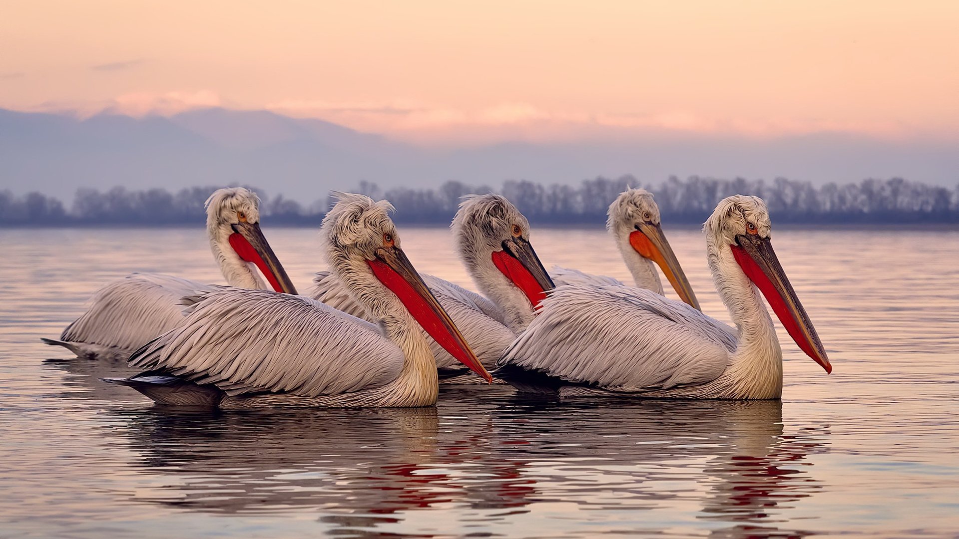 篮网球员参与开发NBA元宇宙平台，打造虚拟球队互动，篮网团队篮球