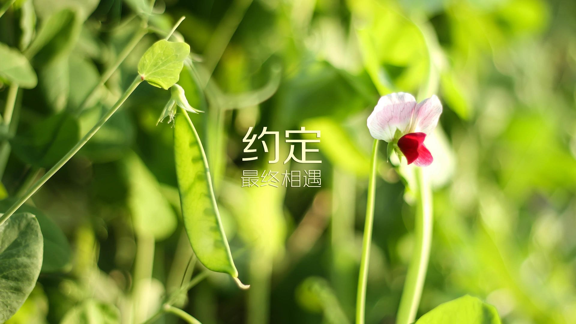 爱游戏娱乐网址-篮球联赛赛后数据分析报告发布，篮球赛汇总