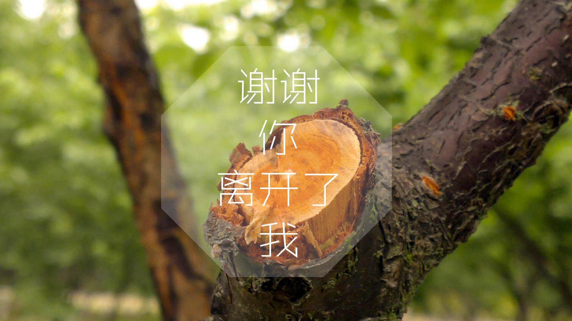 利物浦准备与对手进行友谊赛磨合战术，利物浦 联赛