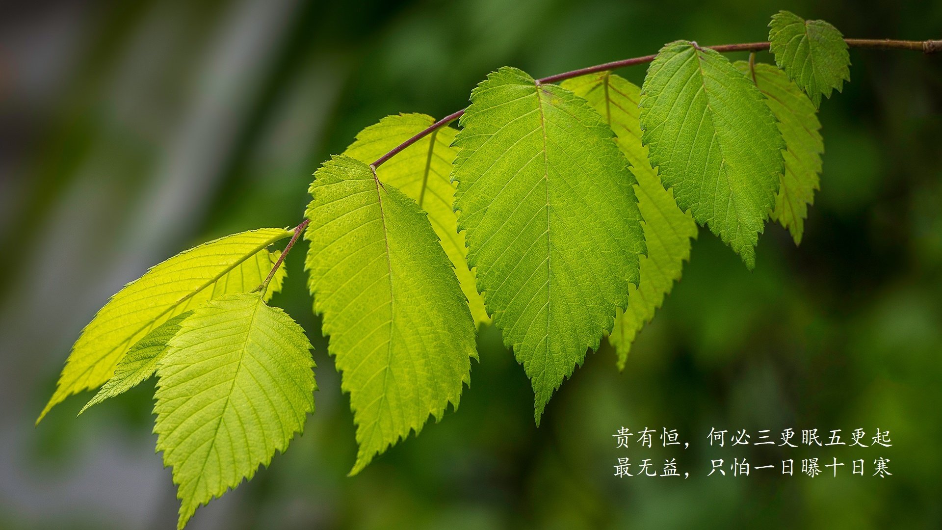 爱游戏平台-王者荣耀电竞文化传播加速，王者荣耀电竞节目叫什么