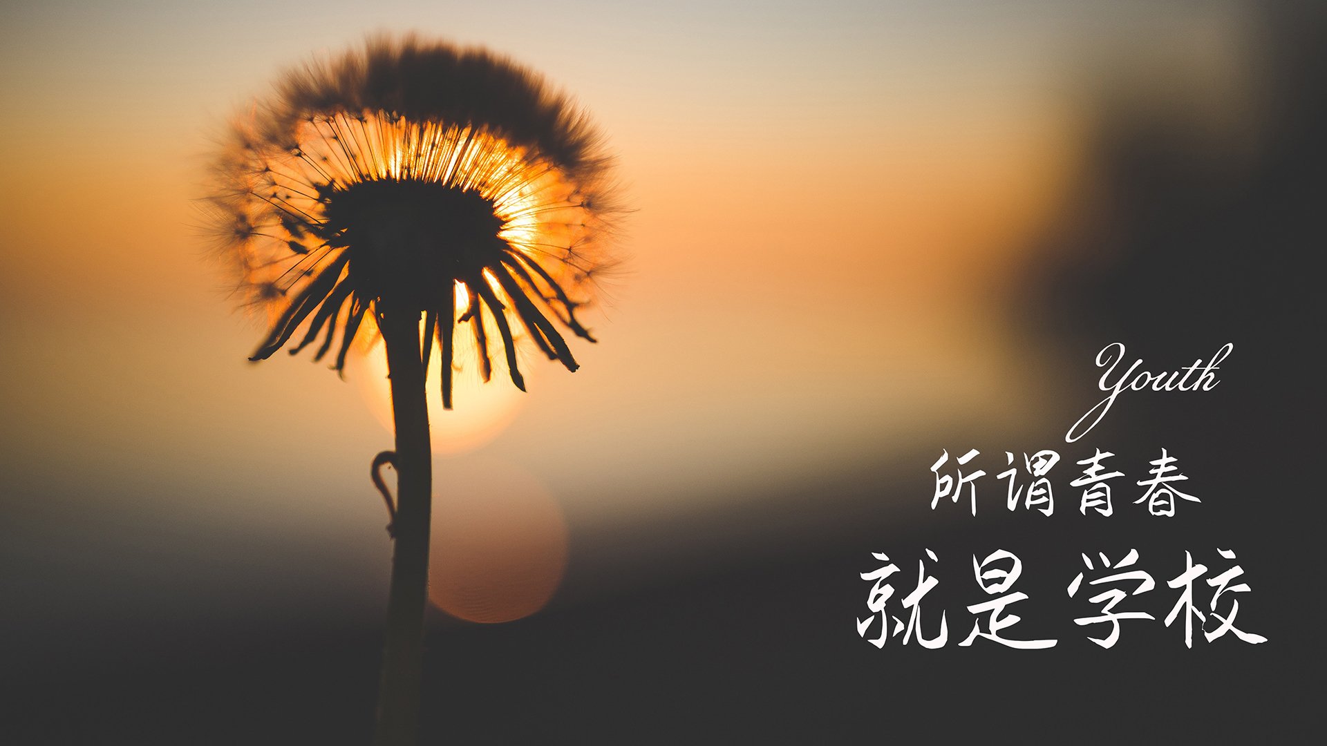 爱游戏平台-青岛男篮核心球员续约成功，青岛男篮换帅了吗
