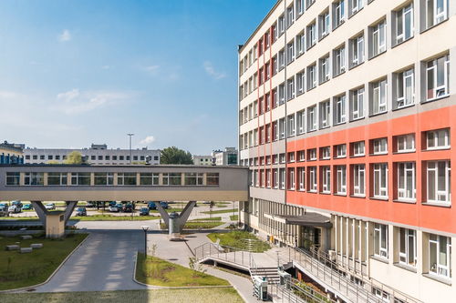 AYX GAMING-中国篮球青训教练员专业能力提升及培训体系建设，篮球青训师资格证好考么
