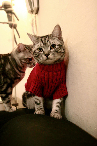 切尔西年轻球员培养计划持续推进，切尔西年轻中锋