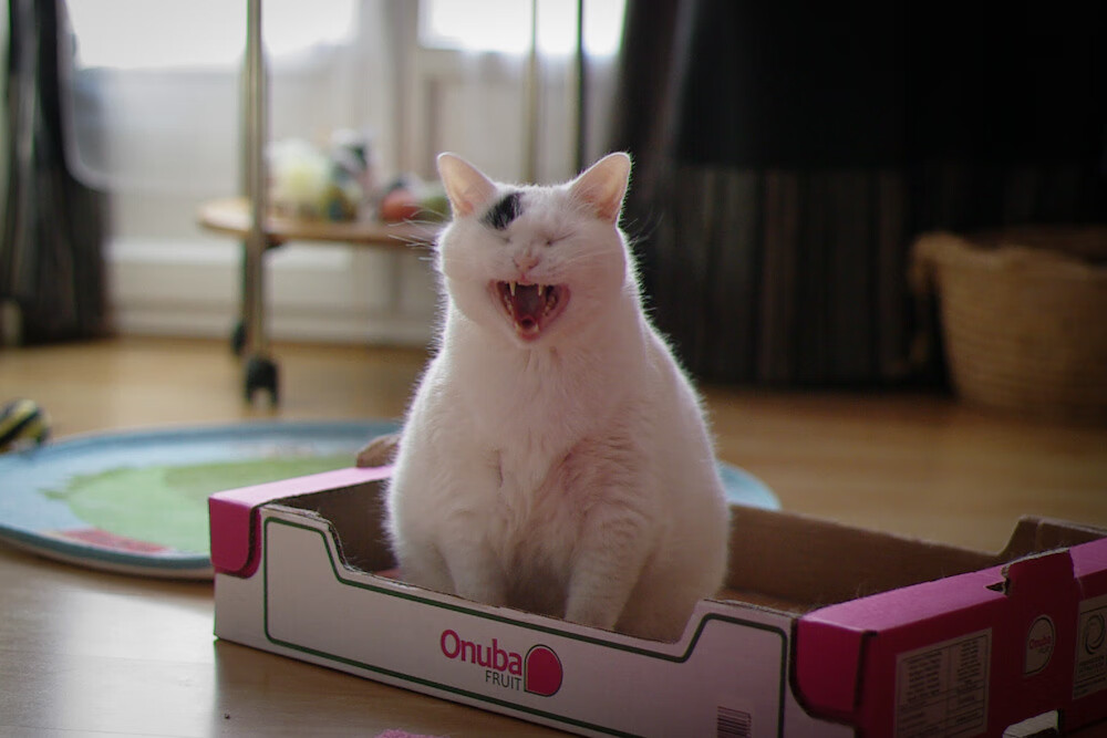 基层联赛缺乏规范管理，基层联赛缺乏规范管理怎么办