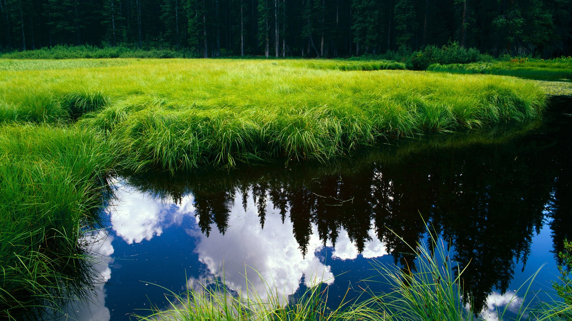爱游戏体育-控卫如何阅读比赛节奏做出选择，控卫 sg
