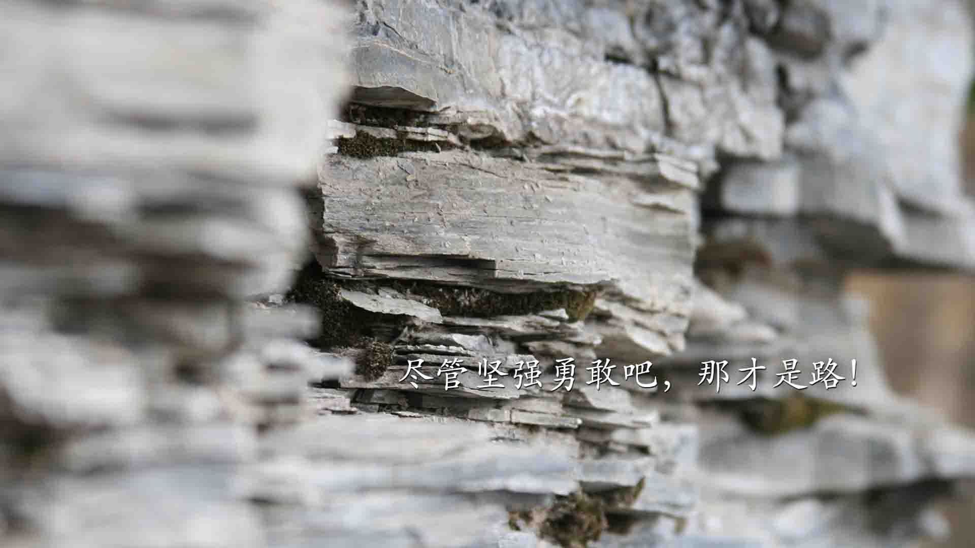 数据平台分析球员表现促进科学决策，球员数据分析软件