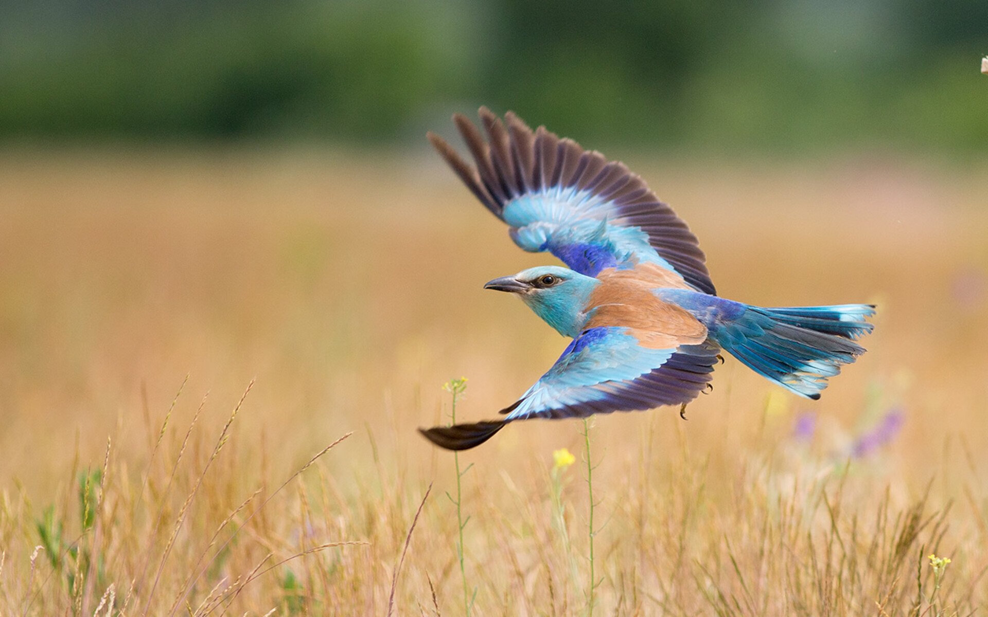 爱游戏app下载-地方俱乐部建立球员心理档案推动健康成长与全面培养，创建球员放到俱乐部
