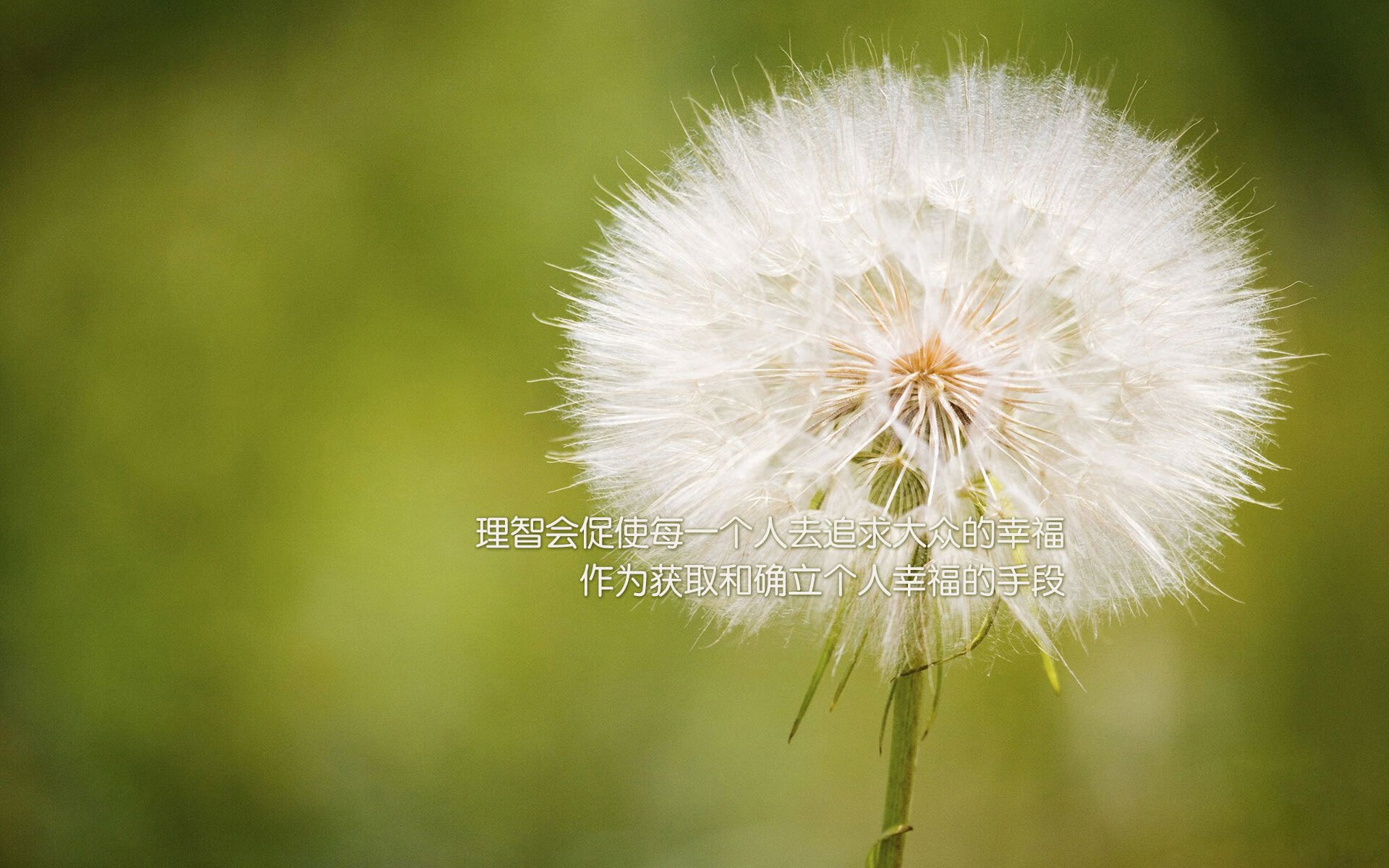 AIYOUXI.COM-天气影响航班，比赛日程被动调整，天气航班延误会赔钱吗