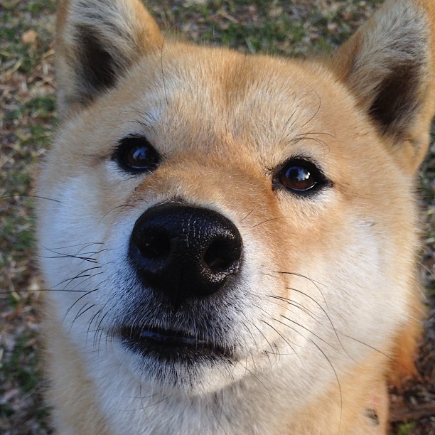 天气影响航班，比赛日程被动调整，天气航班延误会赔钱吗