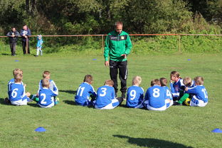 爱游戏app下载-中国篮球教练员战术创新能力培养机制，篮球训练教练简介