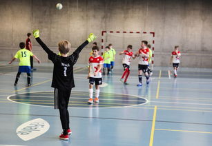 爱游戏在线-中国篮球运动员伤病康复管理机制研究,篮球运动员疾病