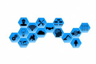 爱游戏体验-青少年篮球项目人才梯队构建路径,青少年篮球后备人才